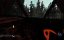 The Forest -   (v0.20)
