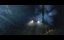   / Shady Grove - 