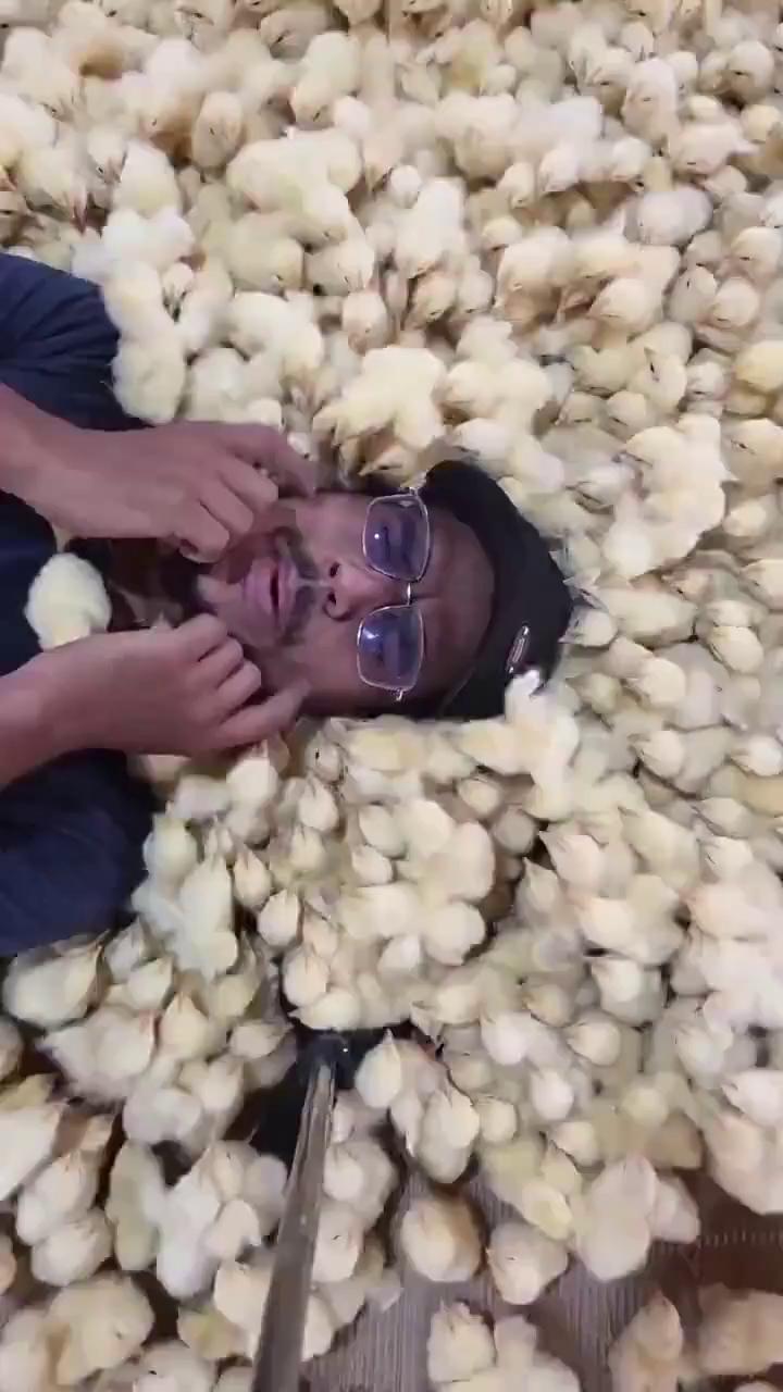 ������