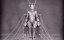 ���������� / Metropolis - �������
