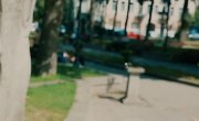 :    / Toren: Back to Roots - 