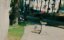 :    / Toren: Back to Roots - 