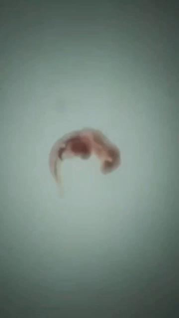 ������