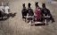  .     -   / The Great Race: Rome's Biggest Spectacle / Race to the Death: Rome's Charioteers - 