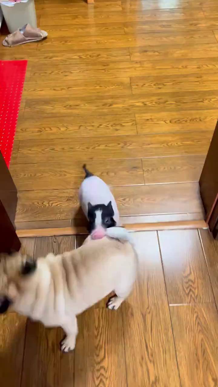 ������