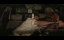     / Grégoire Moulin contre l'humanité / Gregoire Moulin vs. Humanity - -
