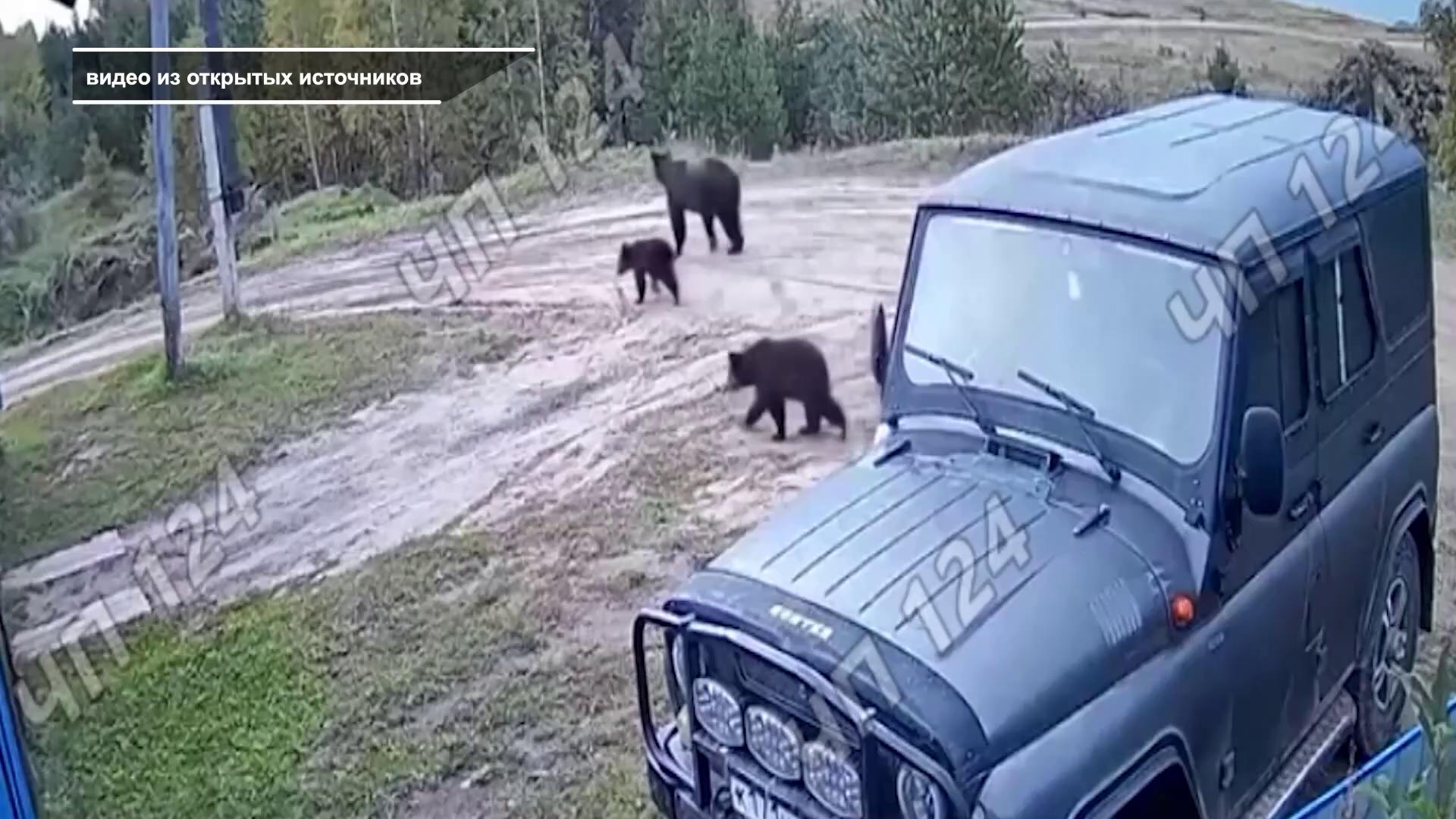 ������