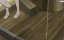 ��� ��� ��������: ���� ����������� / Grow Up Show Himawari no Circus-dan - 1 �����, 1 �����