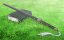 �������������� ���������: ������� ��������������� ������� S-����� / Rakudai Kenja no Gakuin Musou - 1 �����, 6 �����