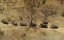 :   / Elephants. Changing Lives - 