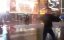 Harlem shake dag fight version for NY