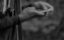     / The Missing - 