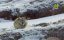 :   / Tibet: Roof of the World - 