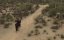   / Among Wolves - 