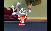 ������� ������� / Merrie Melodies & Looney Tunes - 48 �����