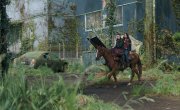    / The Last Of Us - 2 , 4 