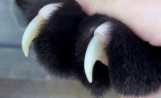 ����� � ����� ������ �������