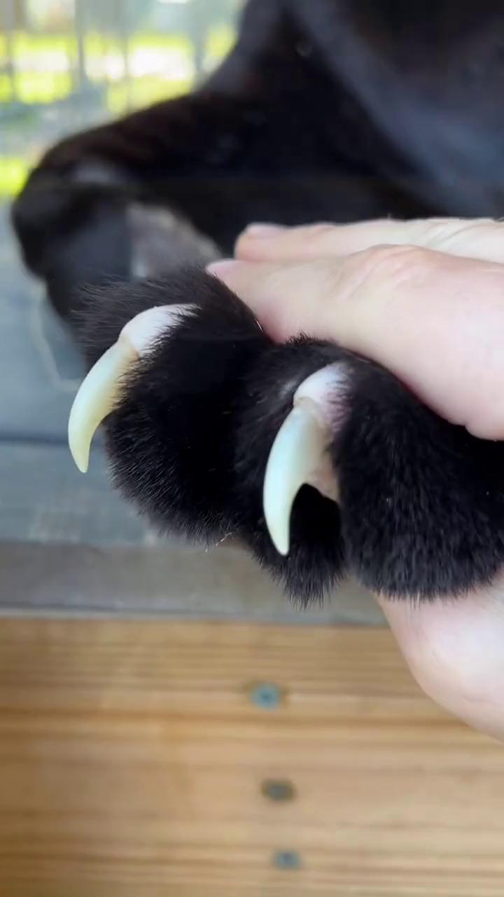 ������