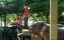 ������������� ��������� �������� / Extreme Animal Attacks - �����
