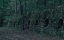    / Marbles and Bullets - 