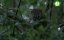  .     / A Meeting of Waters - Secrets of Wild Portugal - 