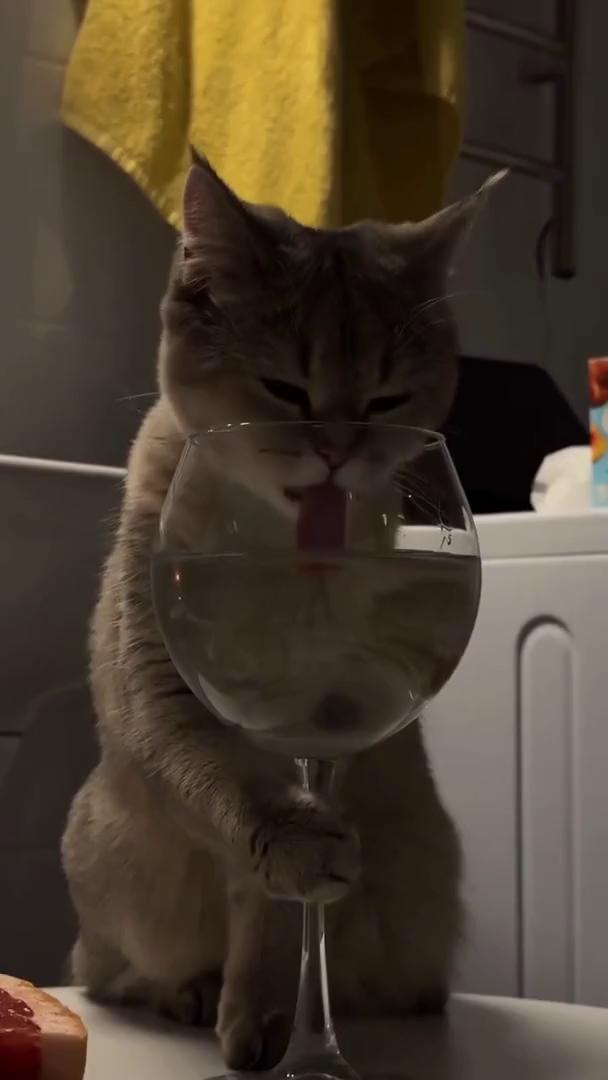 ������