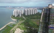 Forest City  -  