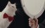     /    / Inside the Mind of a Cat - 