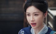 ���������� ������������ ����� / Mei Ying Shen Bu / Shadow Punisher - 1 �����, 16 �����