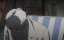   / Sakamoto Days - 1 , 17 