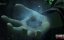 ����������� ������ / Swallowed Star - 1 �����, 245 �����