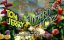 ��� � ������ � ��������� �� ������ �� / Tom and Jerry & The Wizard of Oz - �������