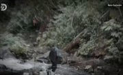  :   / Gold Rush: White Water - 5 , 15 