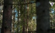 ������ - 3 �����, 19 �����