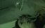  / The Abortion - 