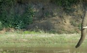 ������� ����� ������ / Great Parks of Africa - 2 �����, 2 �����