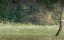 ������� ����� ������ / Great Parks of Africa - 2 �����, 2 �����