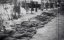 :      / Nuremberg - Les nazis face à leurs crimes - 