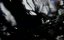   / Beary tales - 