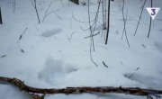 ������ - 3 �����, 18 �����
