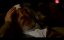    / An American Haunting -  -