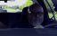   ! / Halt: The Motion Picture - 