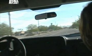 Полиция Феникса: Отдел по защите животных / Animal Cops: Phoenix - 1 сезон, 9 серия 