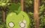   / Dr. Stone - 4 , 14 