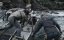  :   / Gold Rush: White Water - 5 , 5 