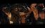 :    / Furiosa: A Mad Max Saga -  