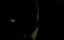   / Crimson Tide - 