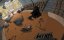      / One Devil and his dog - 
