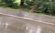 ��� � ��, �����, ���� �����?)