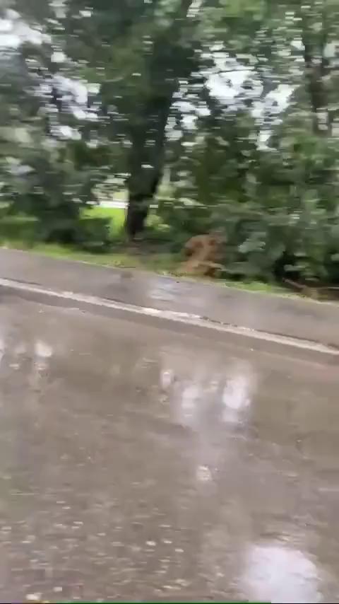 ������